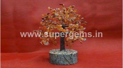 Picture of carnelian 100 chips tree